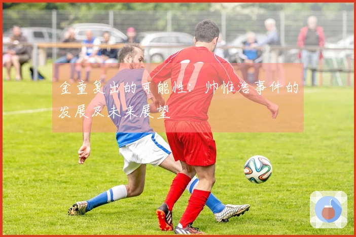 金童复出的可能性：帅惟浩事件的发展及未来展望