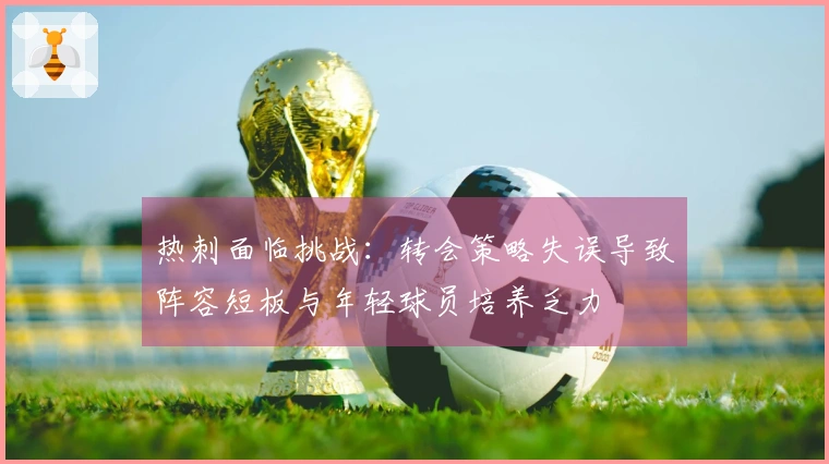 热刺面临挑战：转会策略失误导致阵容短板与年轻球员培养乏力